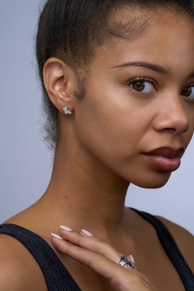 Louisiana & Fleur de Lis Earrings